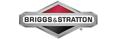 Briggs and Stratton