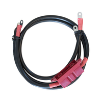 Enerdrive Cable kit to suit 1000W inverters
