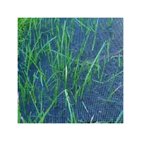 Enduromat Forest Green 1M X 1.225M Mat1.25MGW
