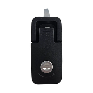 Coast RV Lock Only T/S Coast Access Door, Black