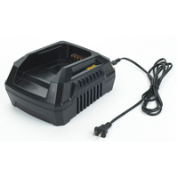 Hyundai 2Ah 40V Charger with BMS Protection