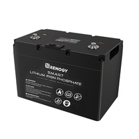 Renogy 12V 100Ah Smart Lithium Iron Phosphate Battery