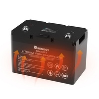 Renogy 12V 100Ah Smart Lithium Iron Phosphate Battery with Self-Heating Function