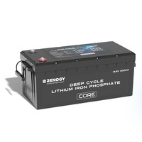 Renogy 12/24/48V 200Ah Core Series Deep Cycle Lithium Iron Phosphate Battery