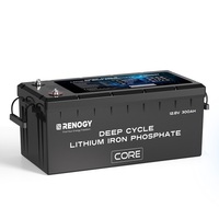 Renogy 12V 300Ah Core Series Deep Cycle Lithium Iron Phosphate Battery with Self Heating