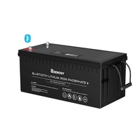 Renogy 12V 200Ah Lithium Iron Phosphate Battery with Bluetooth