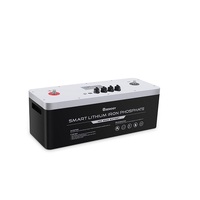 Renogy 48V 50Ah Smart Lithium Iron Phosphate Battery