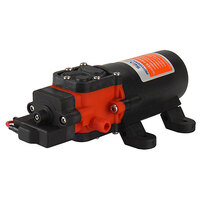 Seaflo Water Pump, 40PSI