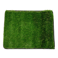 Xtend Outdoors 50cm x 65cm Syntheic Grass XT Mat