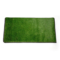 Xtend Outdoors 60cm x 120cm Syntheic Grass XT Mat